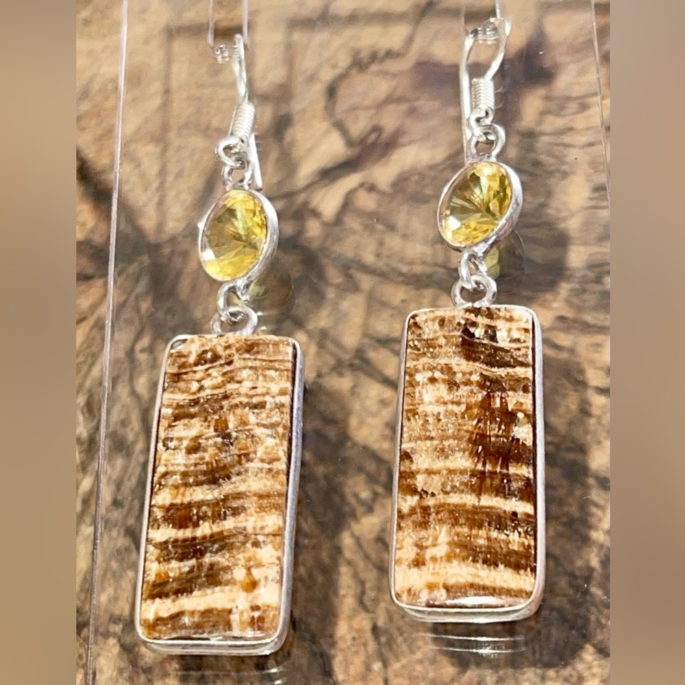 Brown Aragonite Earrings 2 1/4”